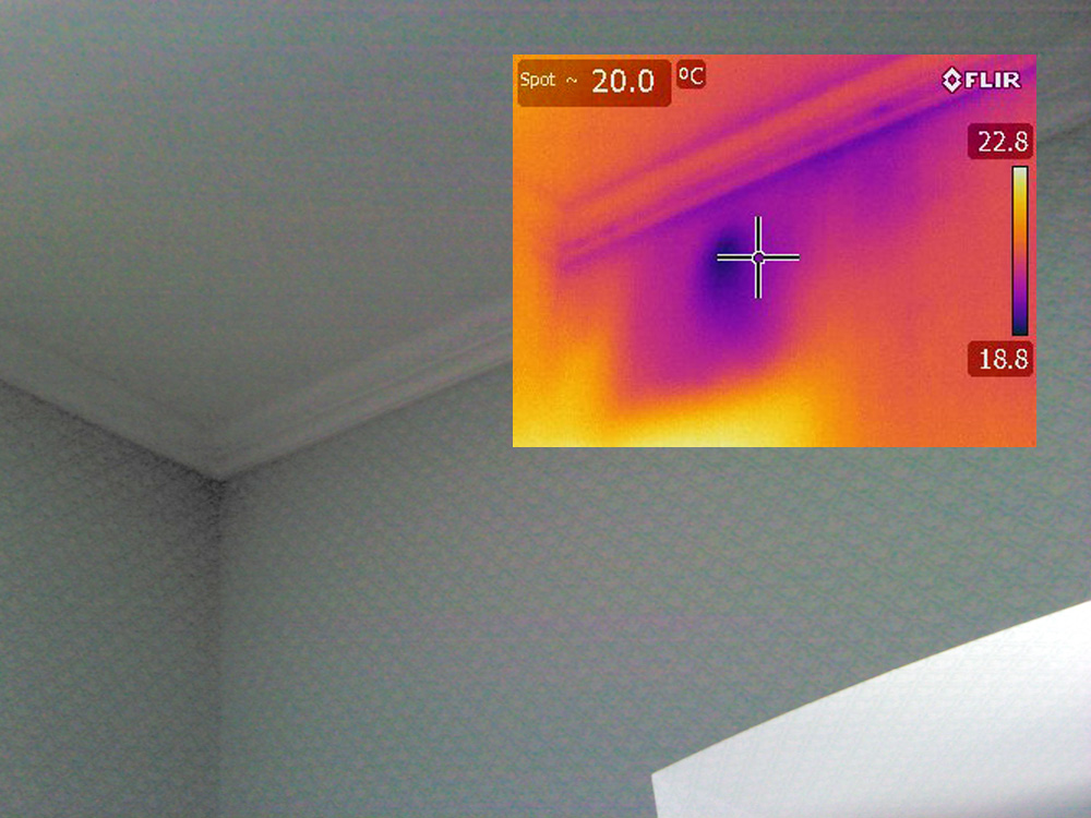 infrared imaging of a ceiling